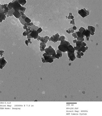 Assessment of dietary supplementation of green iron oxide nanoparticles: impact on growth performance, ammonia emissions, carcass criteria, tissue iron content, and meat quality in broiler chickens under hot climate conditions